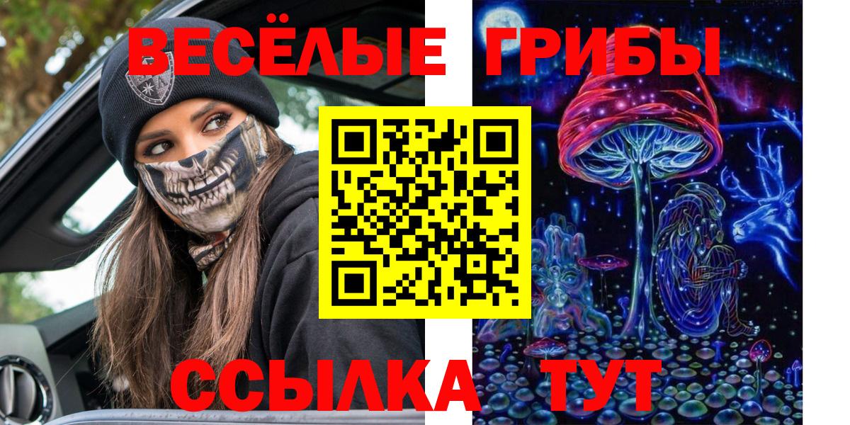Дивногорск  Псилоцибиновые грибы ЛСД  Галлюциногенные грибы мицелий  Вход с VPN 